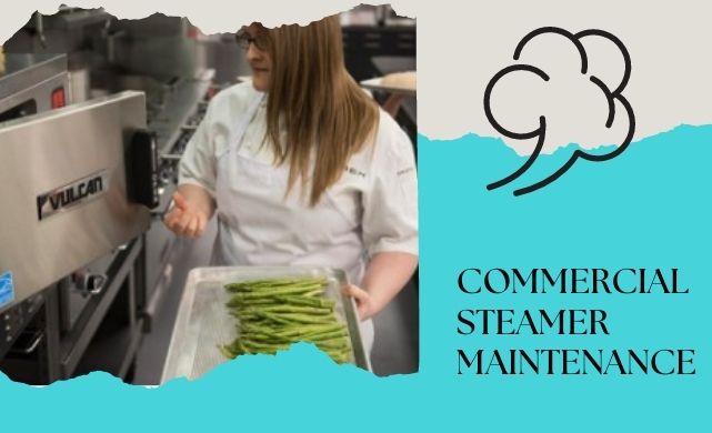 steamer maintenance