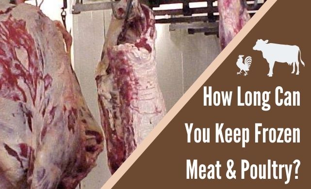 freezing meat and poultry